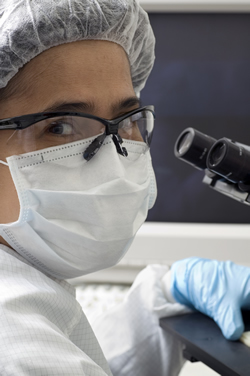 Microscope Inspection